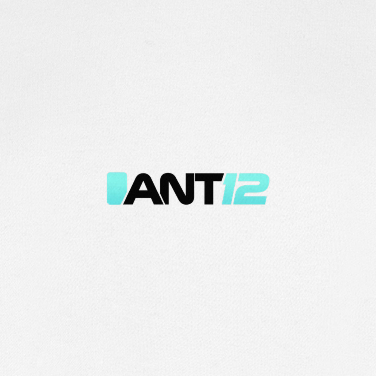 White jumper, ANT12 chest logo close-up