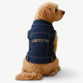Printora UK personalised dog denim jacket with colourful embroidered name on back, worn by a golden doodle dog.