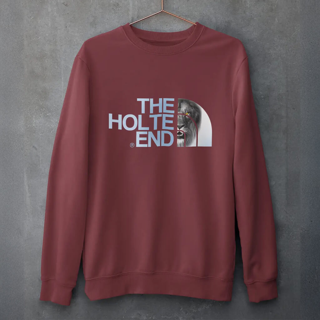 Aston Villa Holte End lion graphic jumper lifestyle image