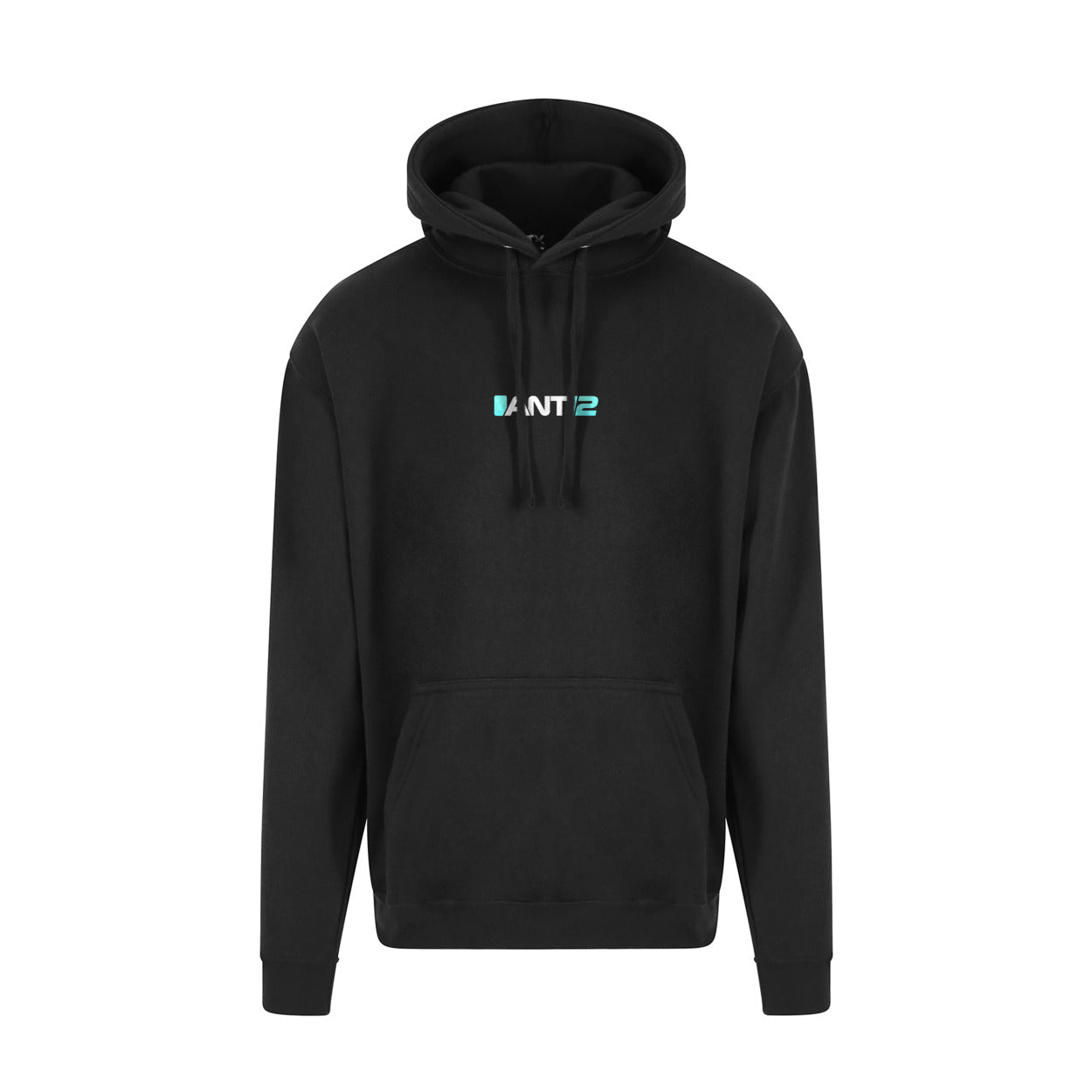 Black hoodie, front view with ANT12 chest logo