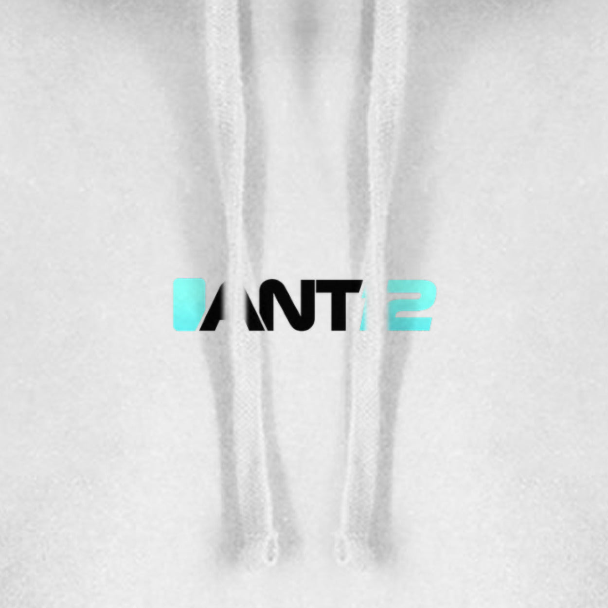White hoodie, ANT12 chest logo close-up