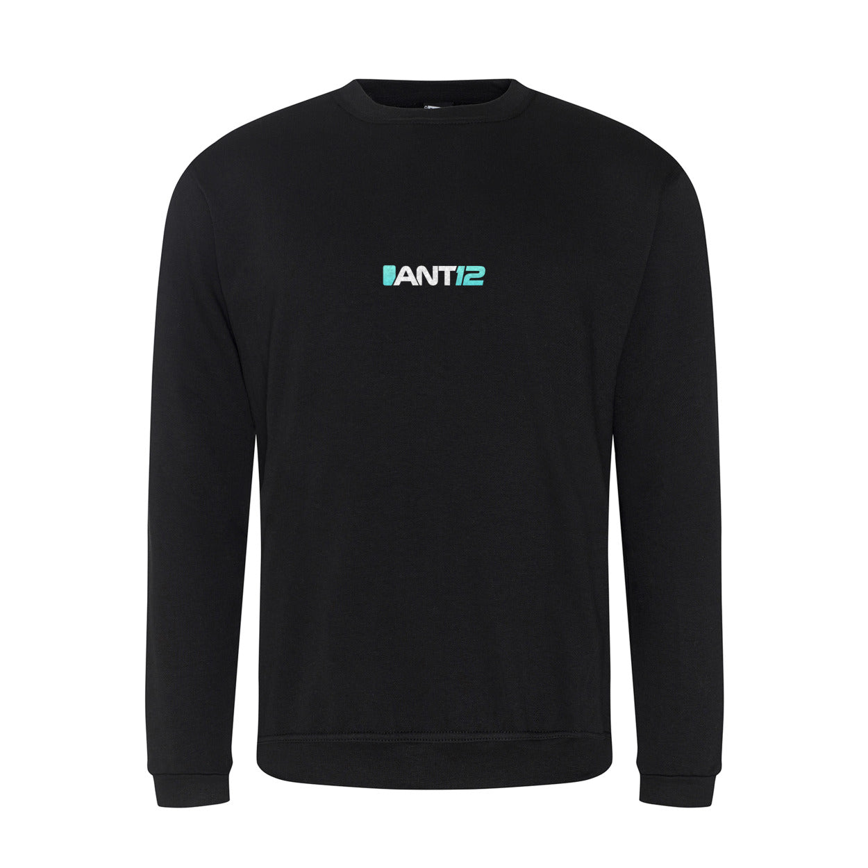 Black jumper, front view with ANT12 chest logo