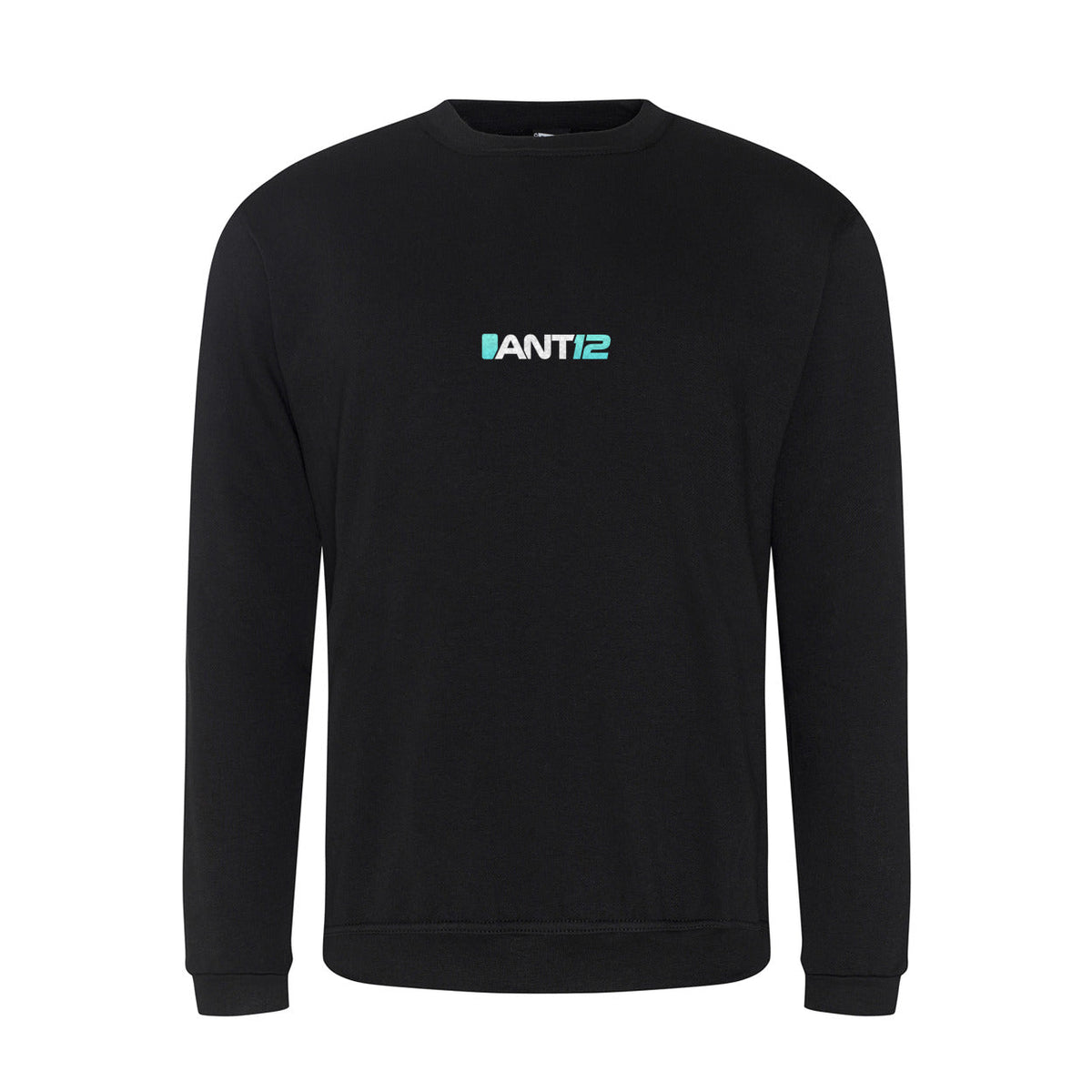 Black jumper, front view with ANT12 chest logo