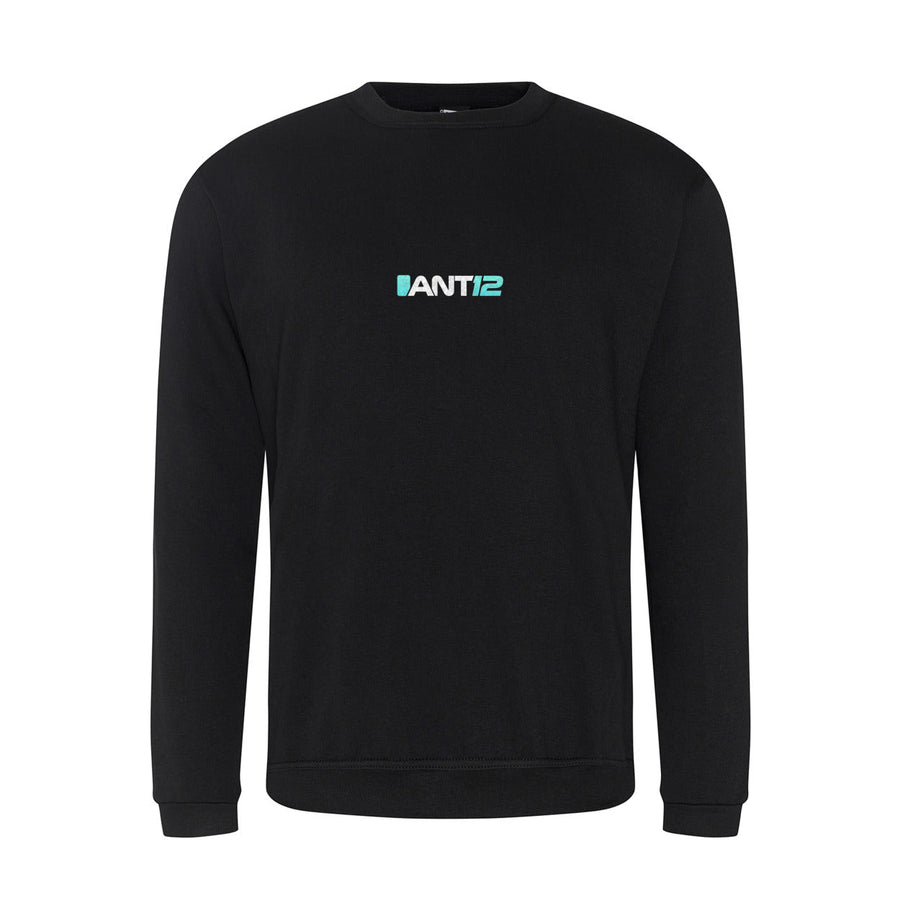 Black jumper, front view with ANT12 chest logo
