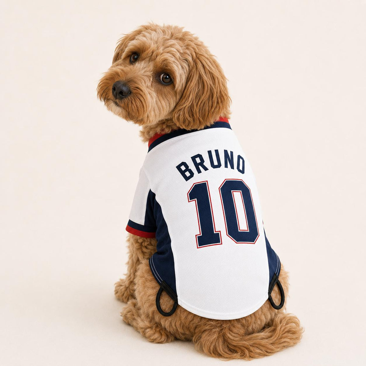 England-inspired pet football shirt personalised with dog name and number