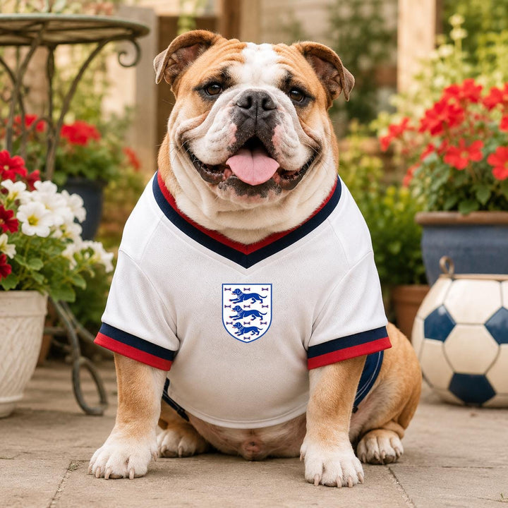 Personalised England Dog Football T-Shirt | Custom Name & Number | 3 Dogs Pet Football shirt