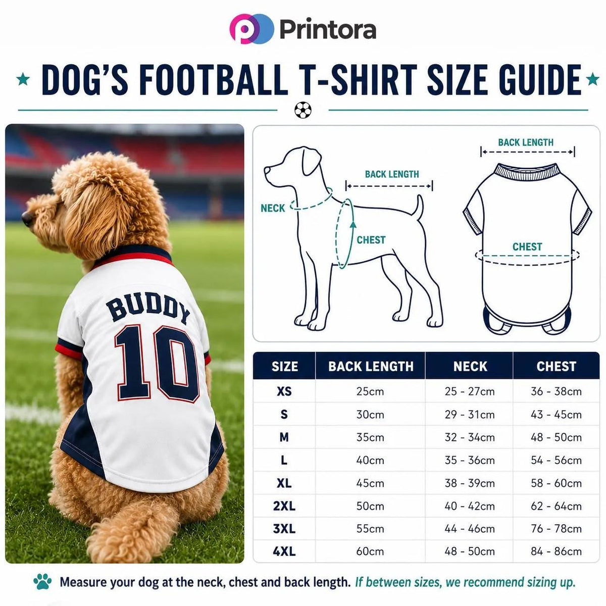 Personalised pet football T-shirt with 3 Dogs crest product image