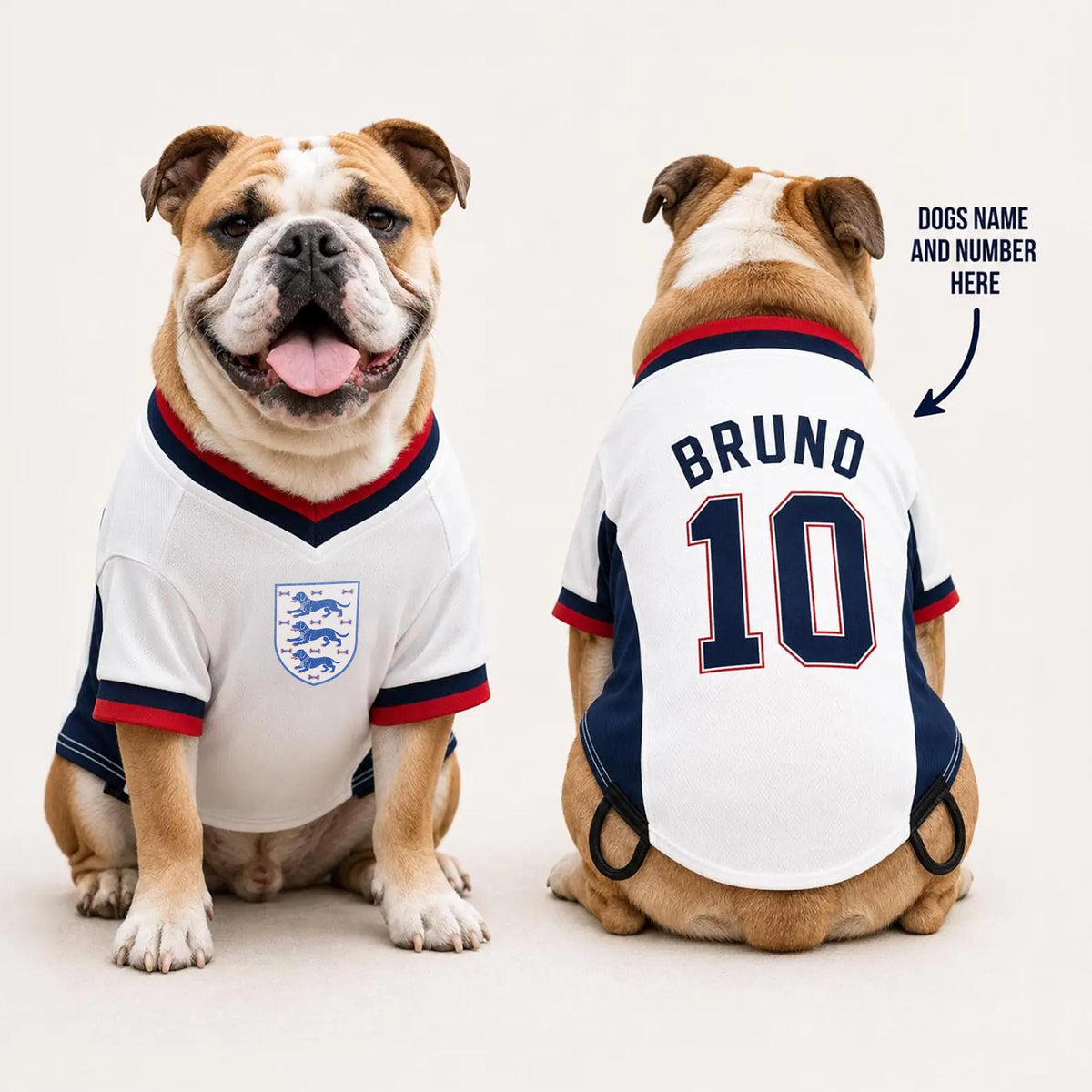 Personalised England Dog Football T-Shirt | Custom Name & Number | 3 Dogs Pet Football shirt